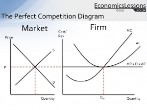 Perfect Competition